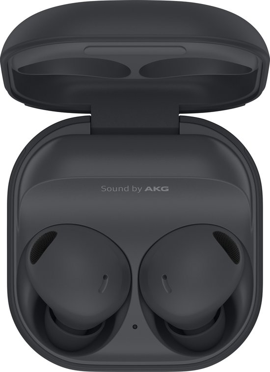 Samsung Galaxy Buds2 Pro - Grijs